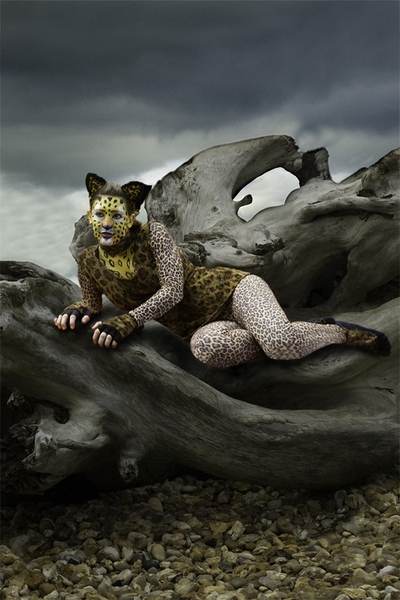 870 - MEOW2 - WATSON MARGARET - spain.jpg